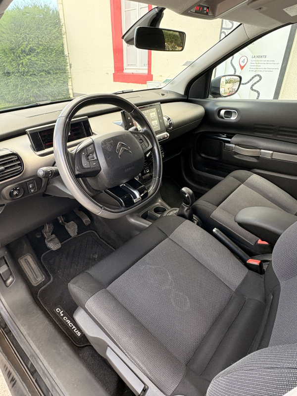 Citroen C4 Cactus — 10