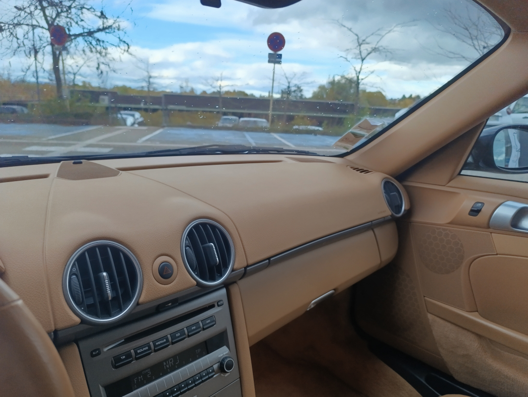 Porsche Cayman — 21