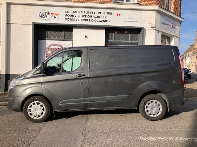 Ford Transit Custom Fg — 4
