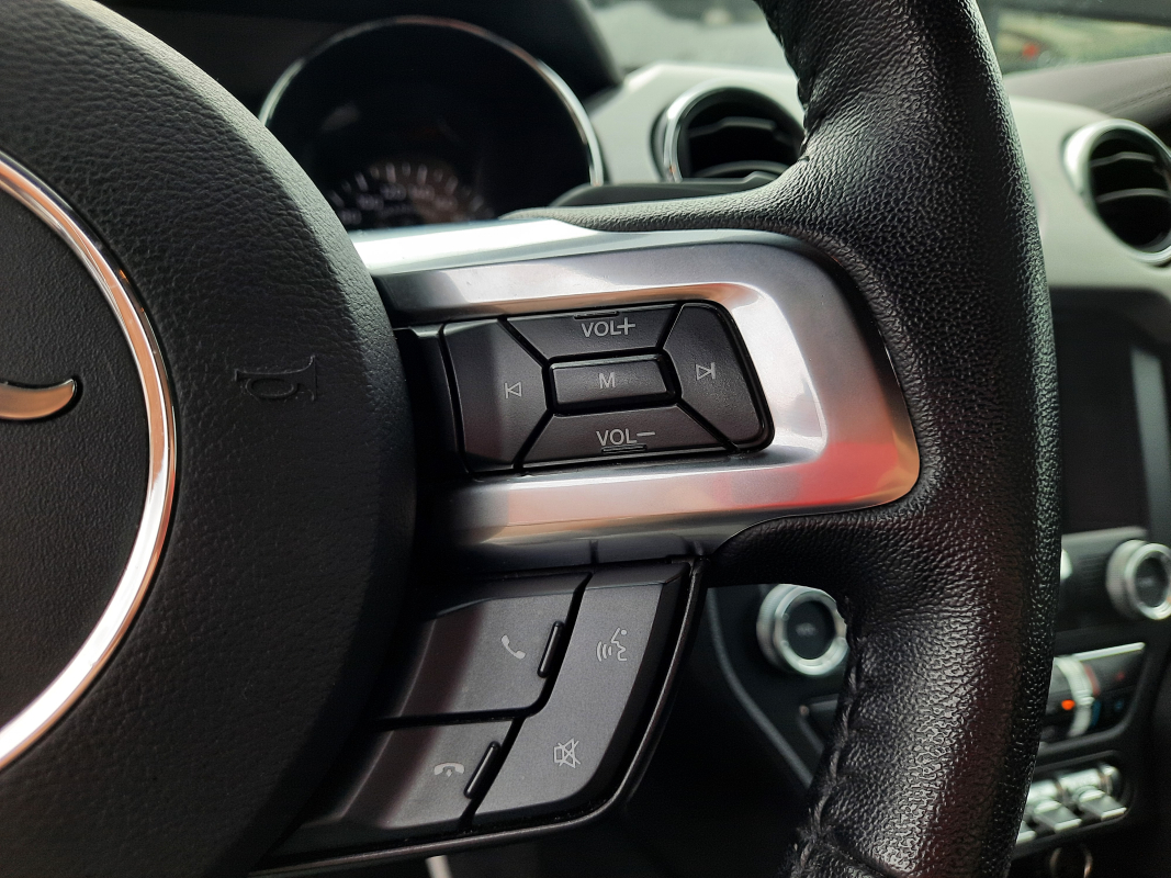 Ford Mustang — 12