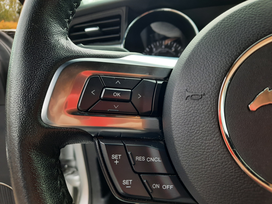Ford Mustang — 14