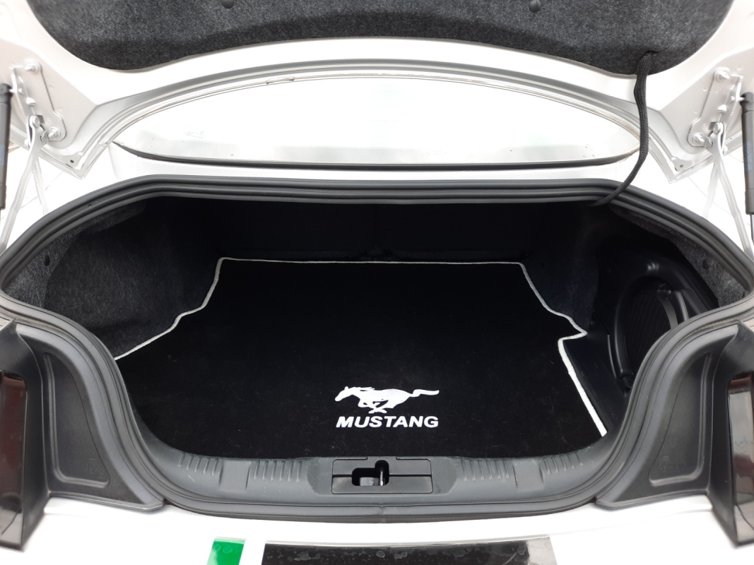 Ford Mustang — 32