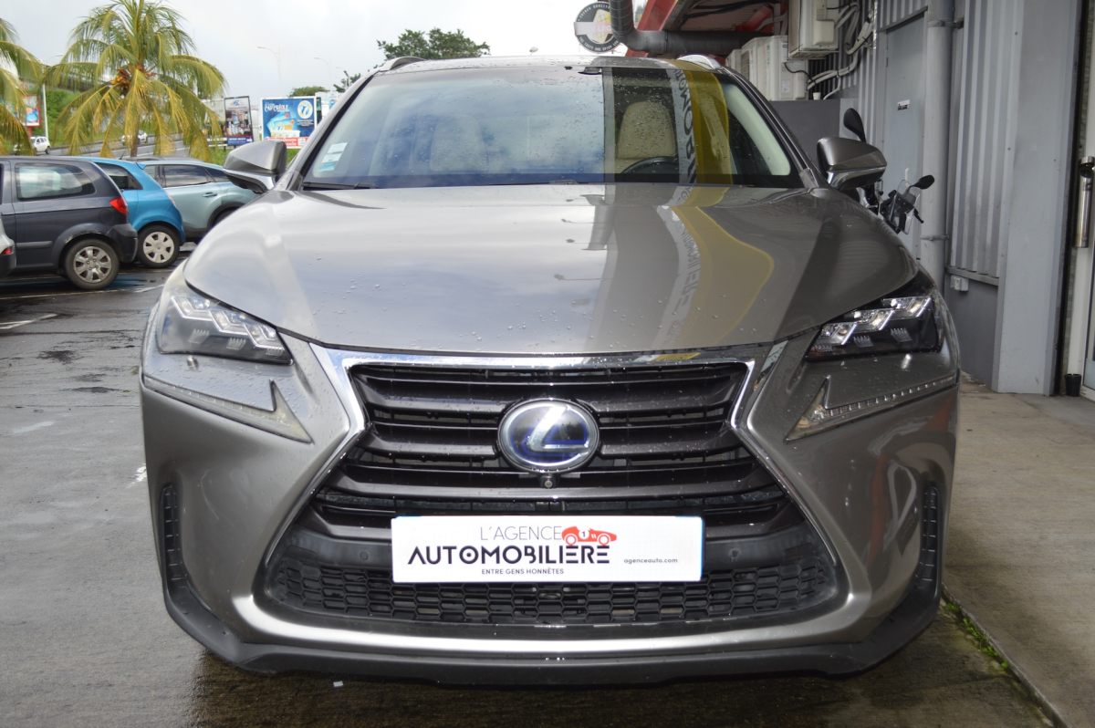 Lexus NX — 3