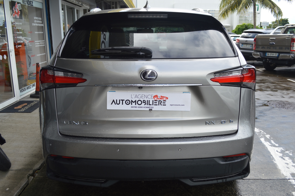 Lexus NX — 6