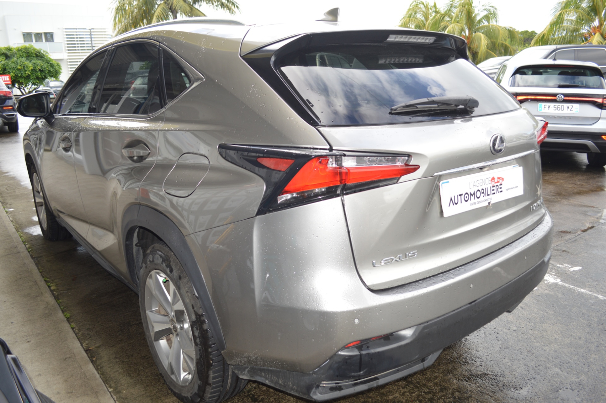 Lexus NX — 5