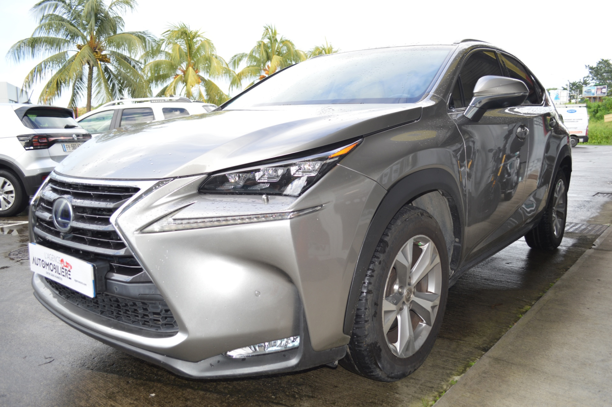 Lexus NX — 4