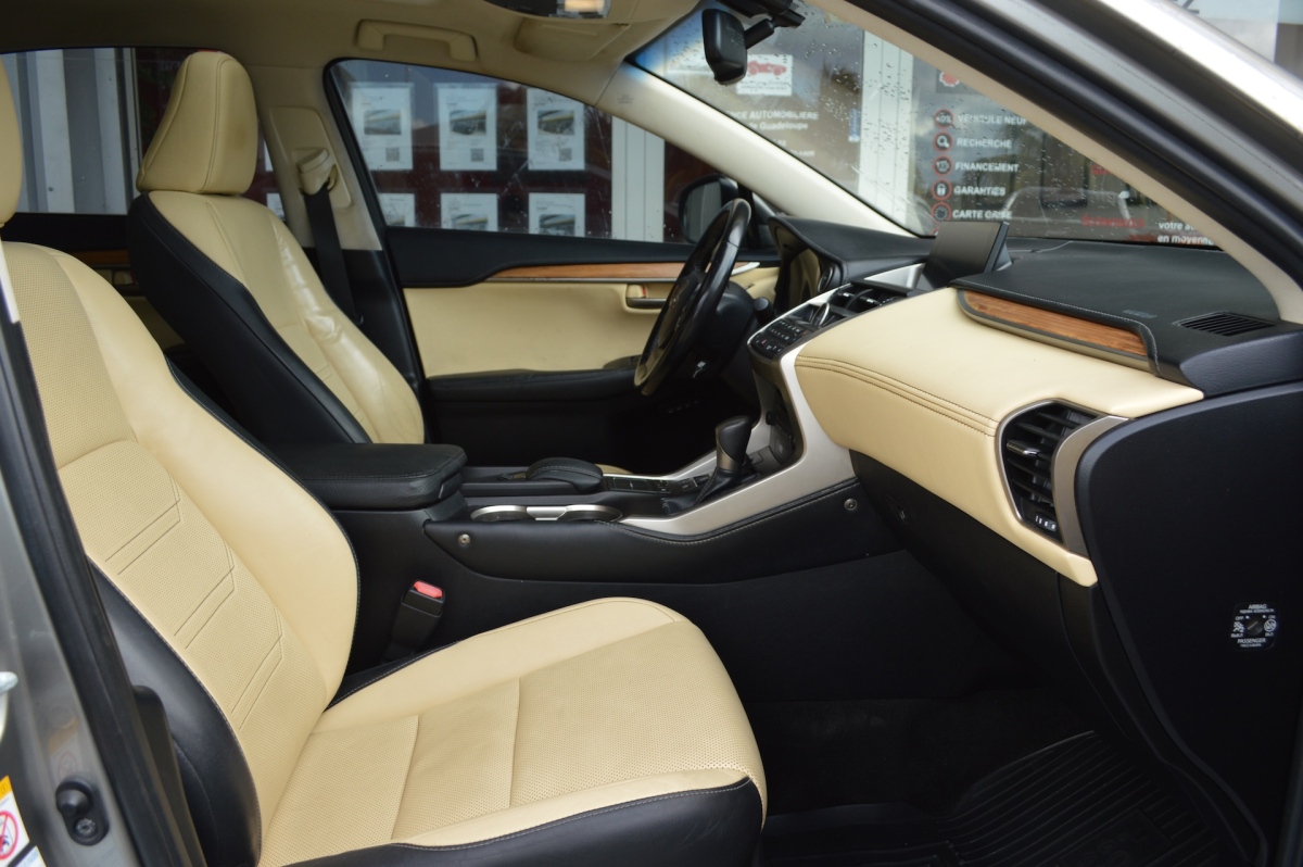 Lexus NX — 17