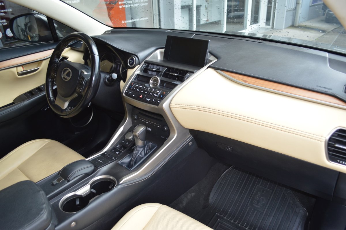 Lexus NX — 14