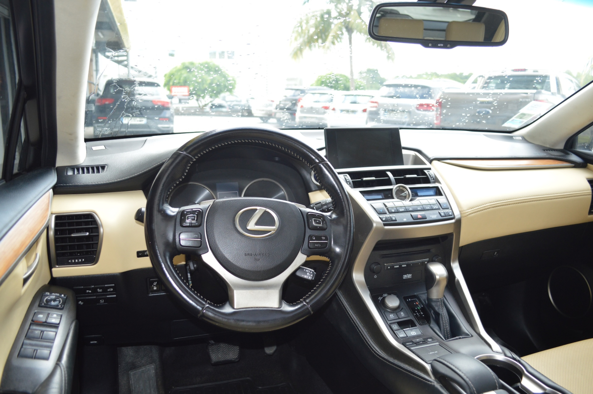 Lexus NX — 10