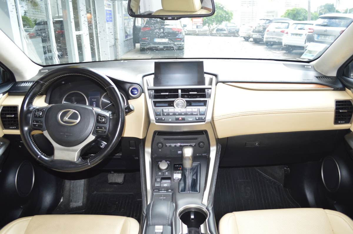 Lexus NX — 11