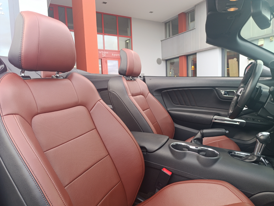 Ford Mustang Fastback — 18