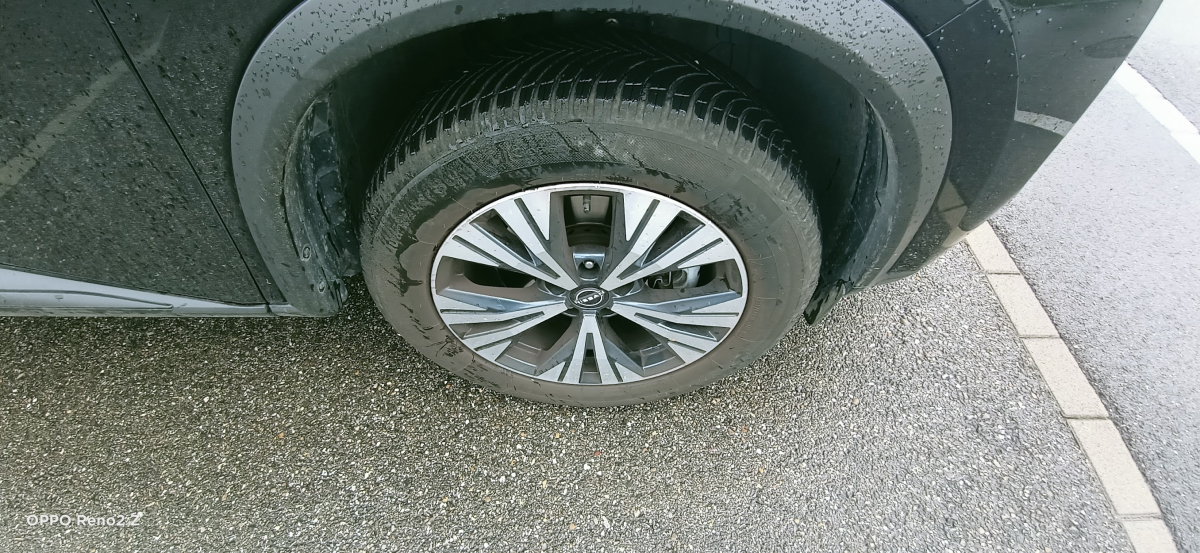 Nissan X-Trail — 30