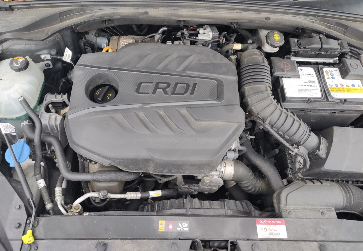 Kia Ceed — 29