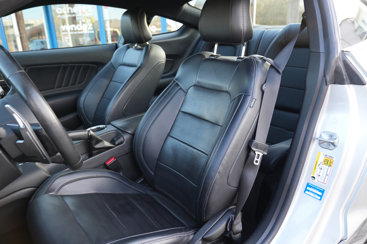 Ford Mustang — 15