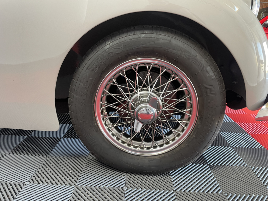 Triumph TR3 — 22