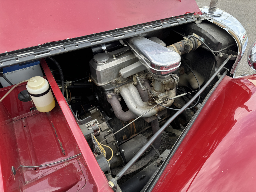 Triumph TR — 31