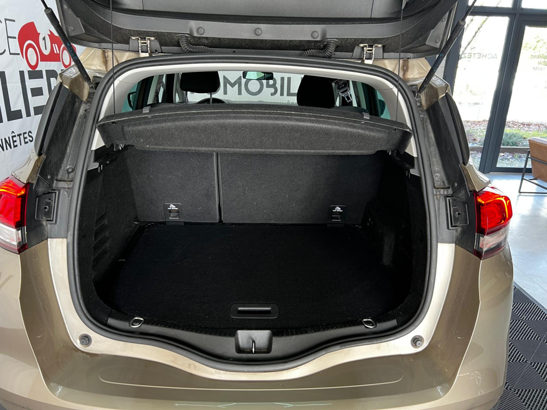 Renault Scenic — 20