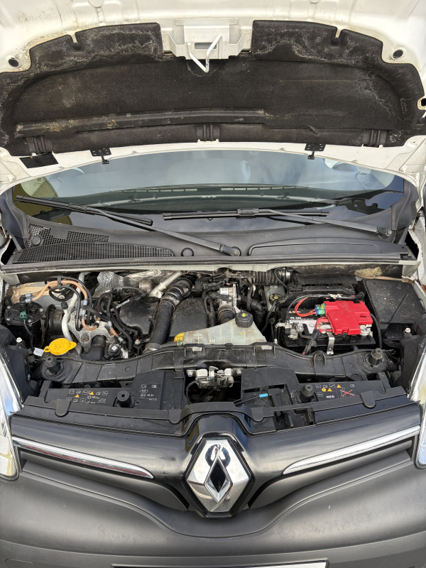 Renault Kangoo Express — 19