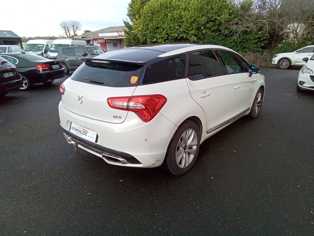 DS DS 5 — 6