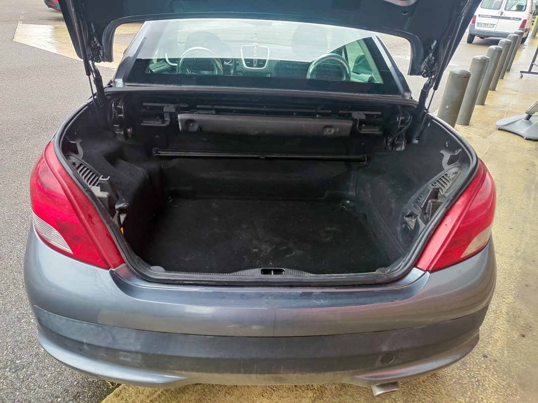 Peugeot 207 — 19