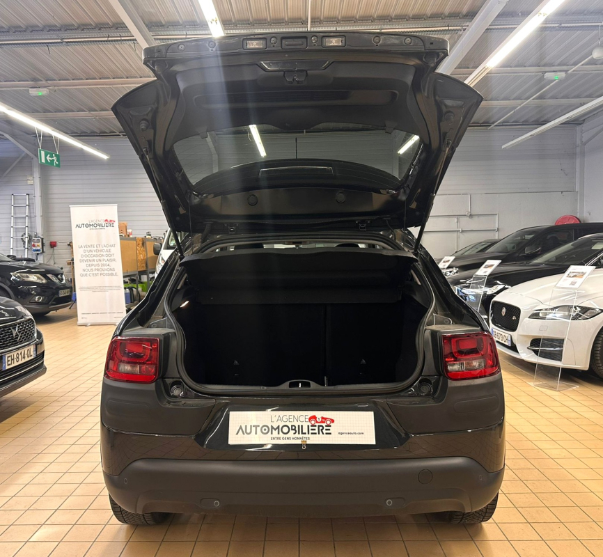 Citroen C4 Cactus — 15