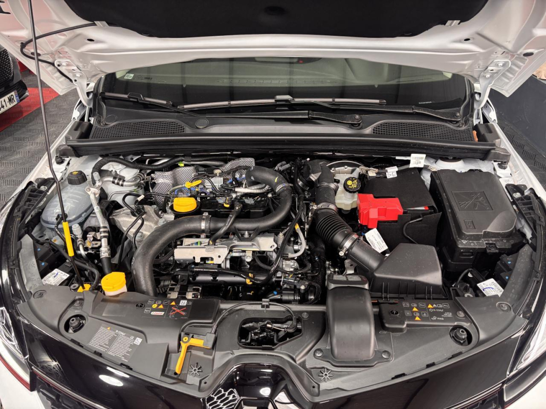 Renault Clio — 29