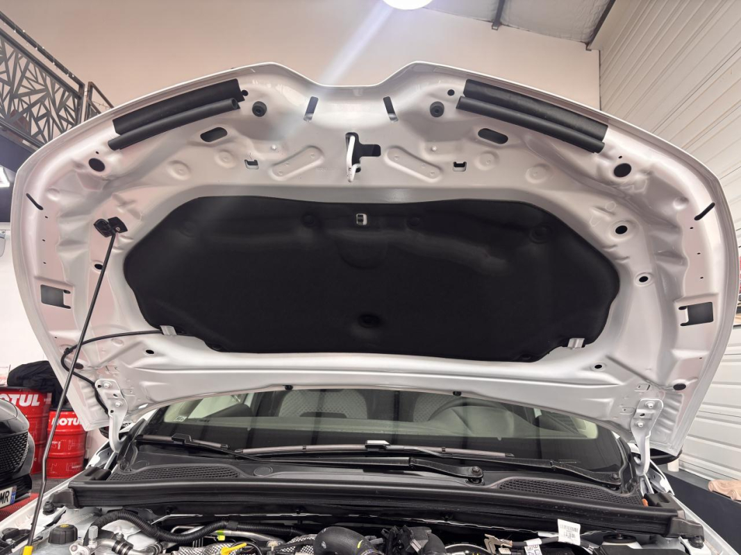 Renault Clio — 30