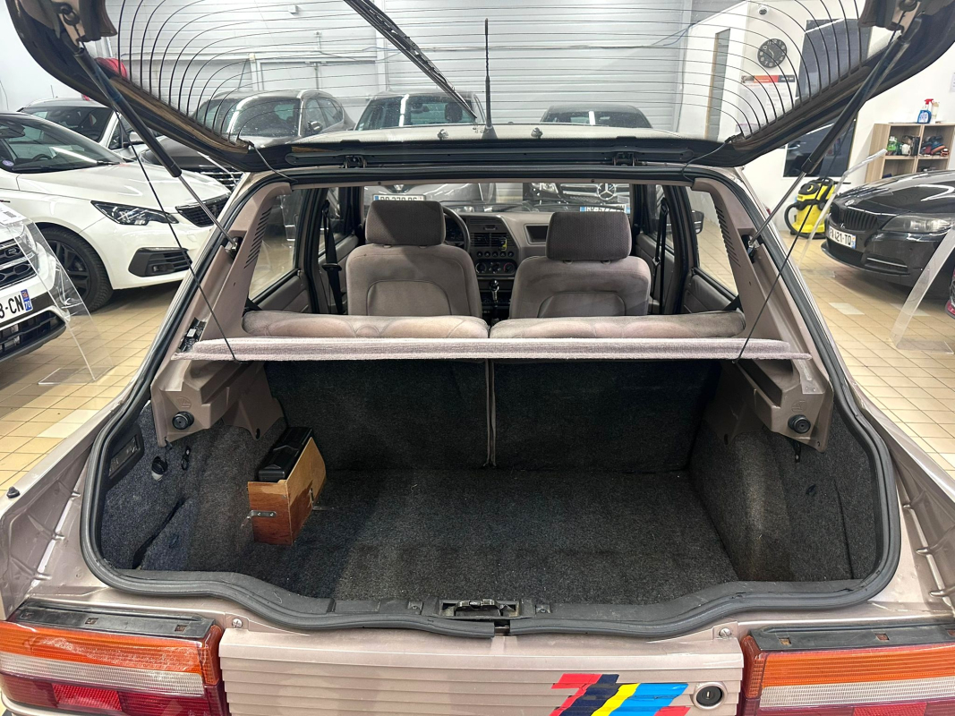 Peugeot 309 — 16