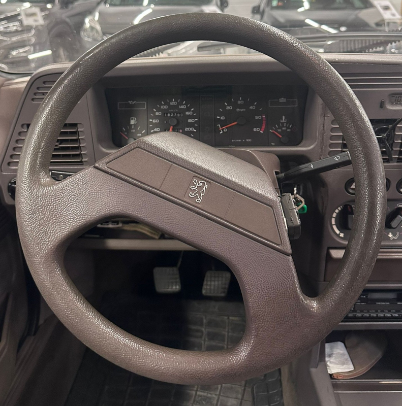 Peugeot 309 — 18