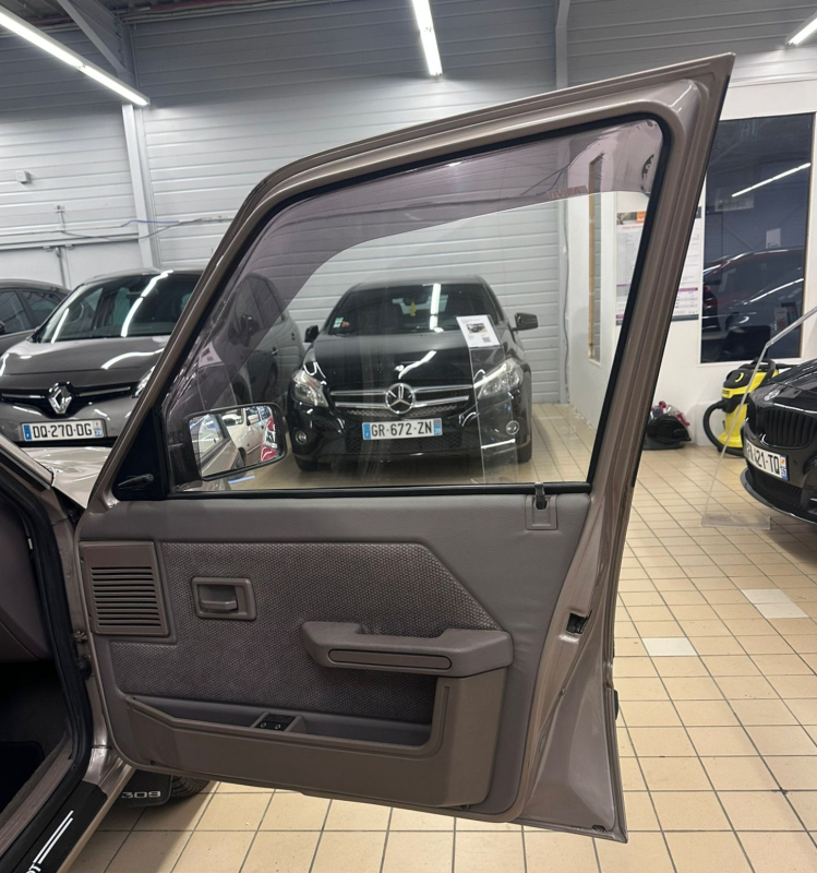 Peugeot 309 — 25