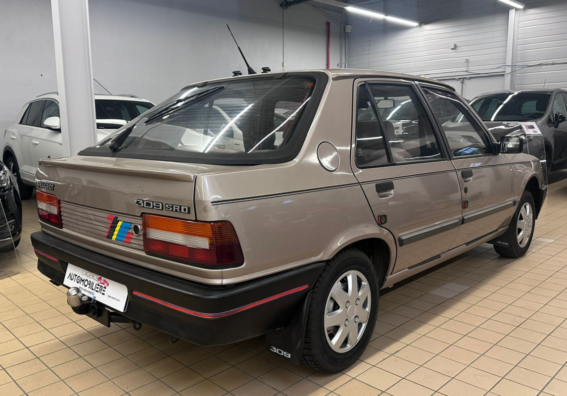 Peugeot 309 — 6