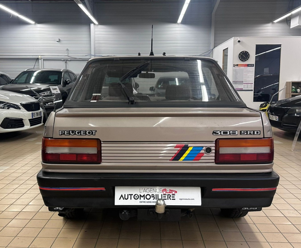 Peugeot 309 — 8