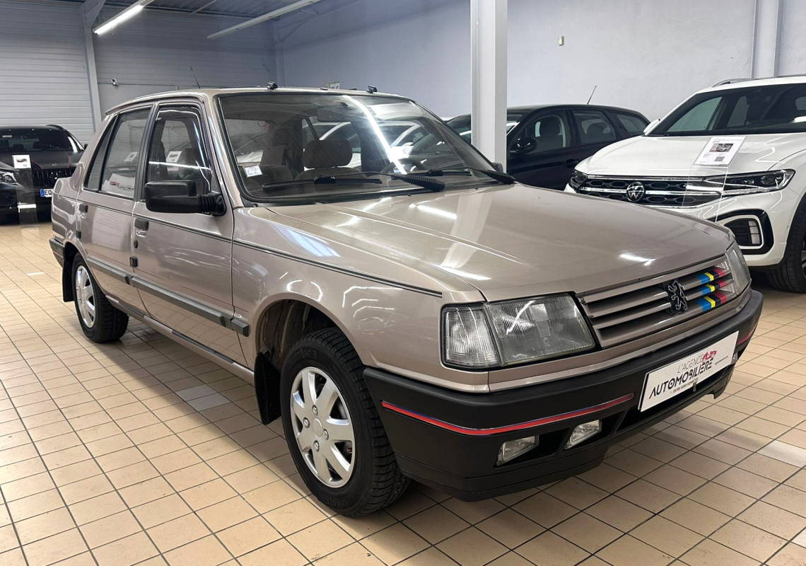 Peugeot 309 — 5