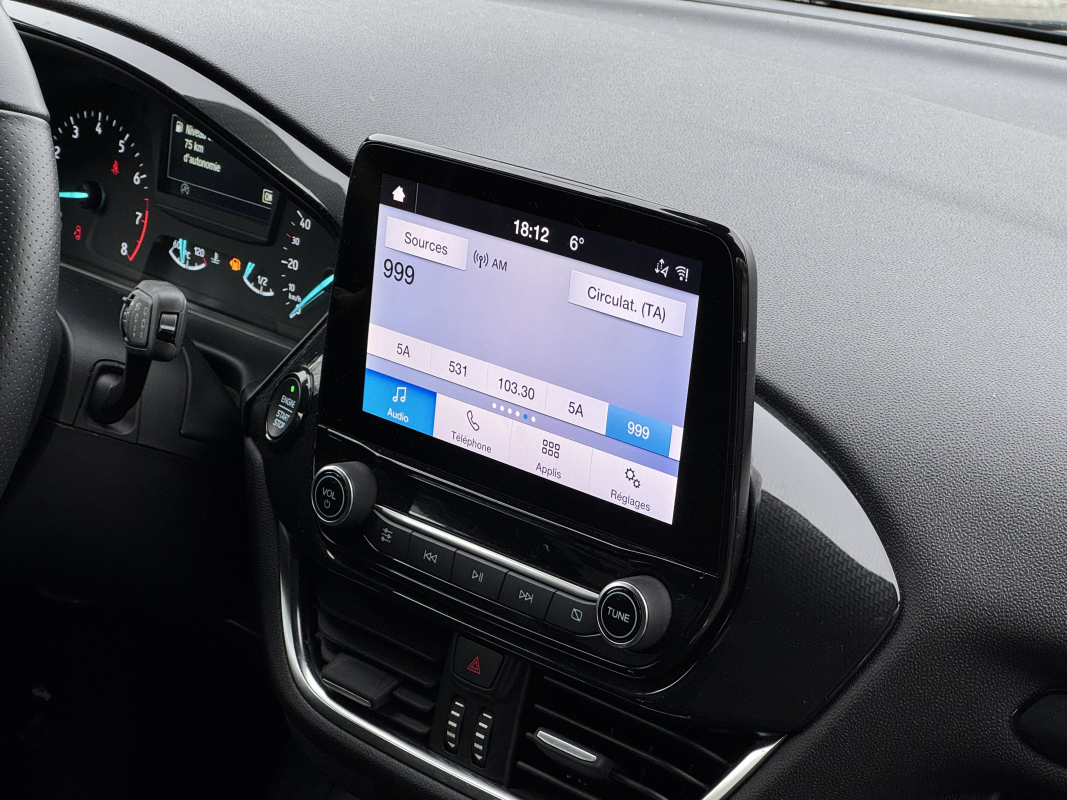 Ford Fiesta — 24