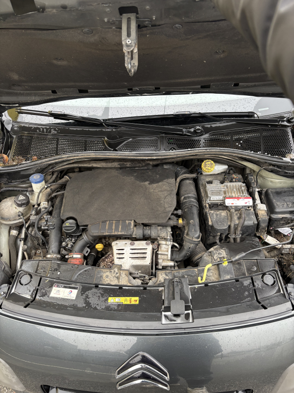Citroen C4 Cactus — 19