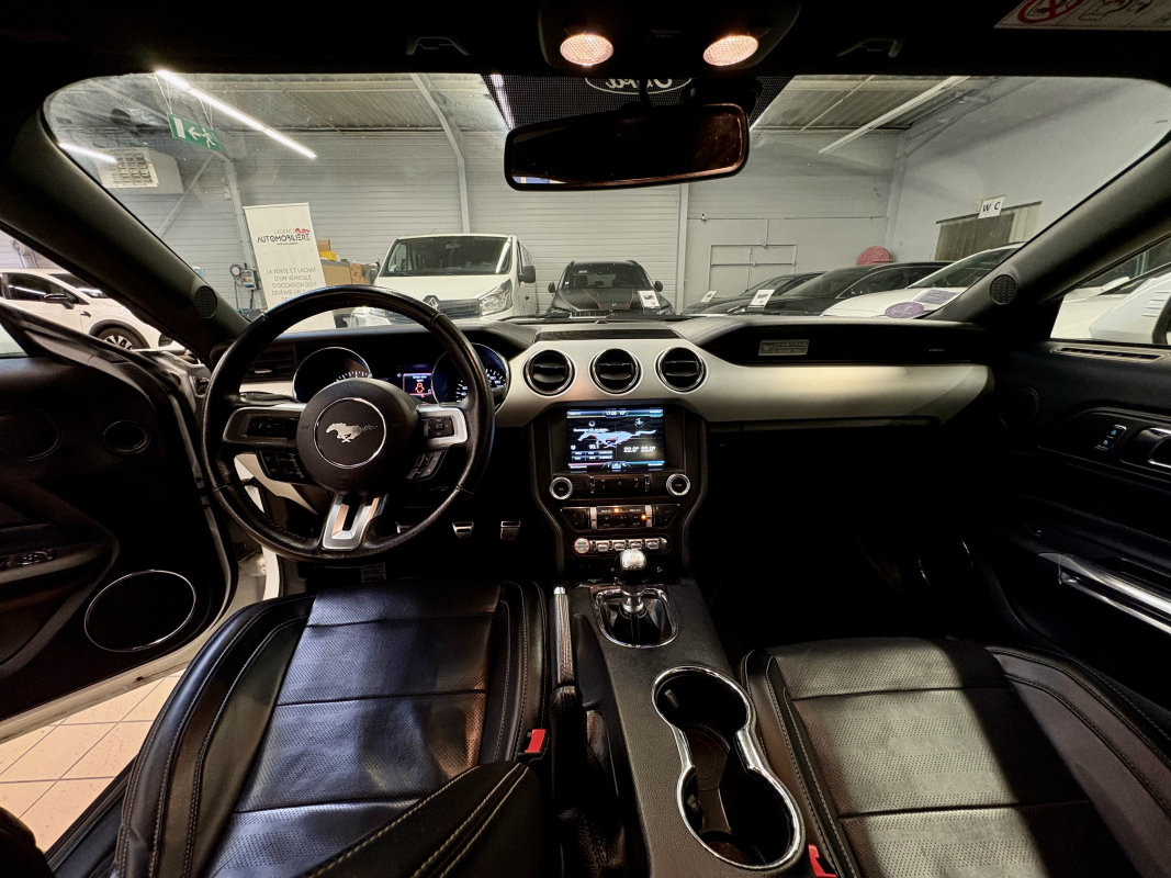 Ford Mustang — 19