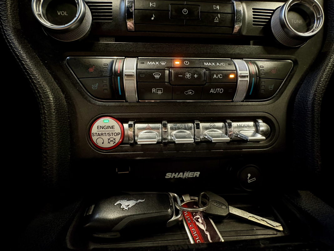 Ford Mustang — 22
