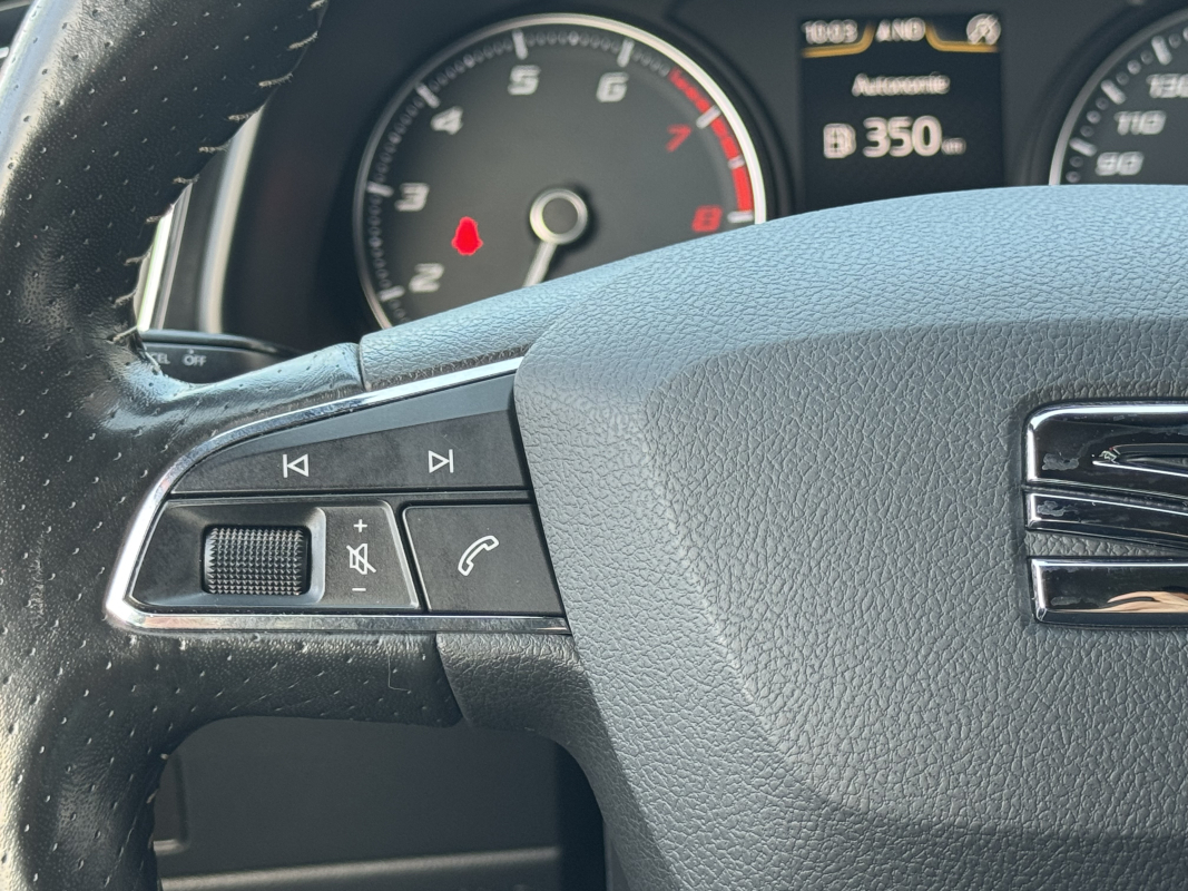 Seat Leon — 14