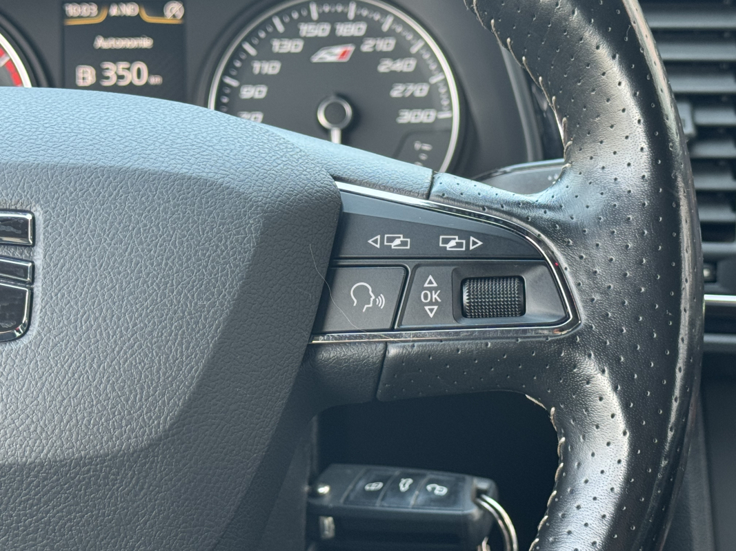 Seat Leon — 15