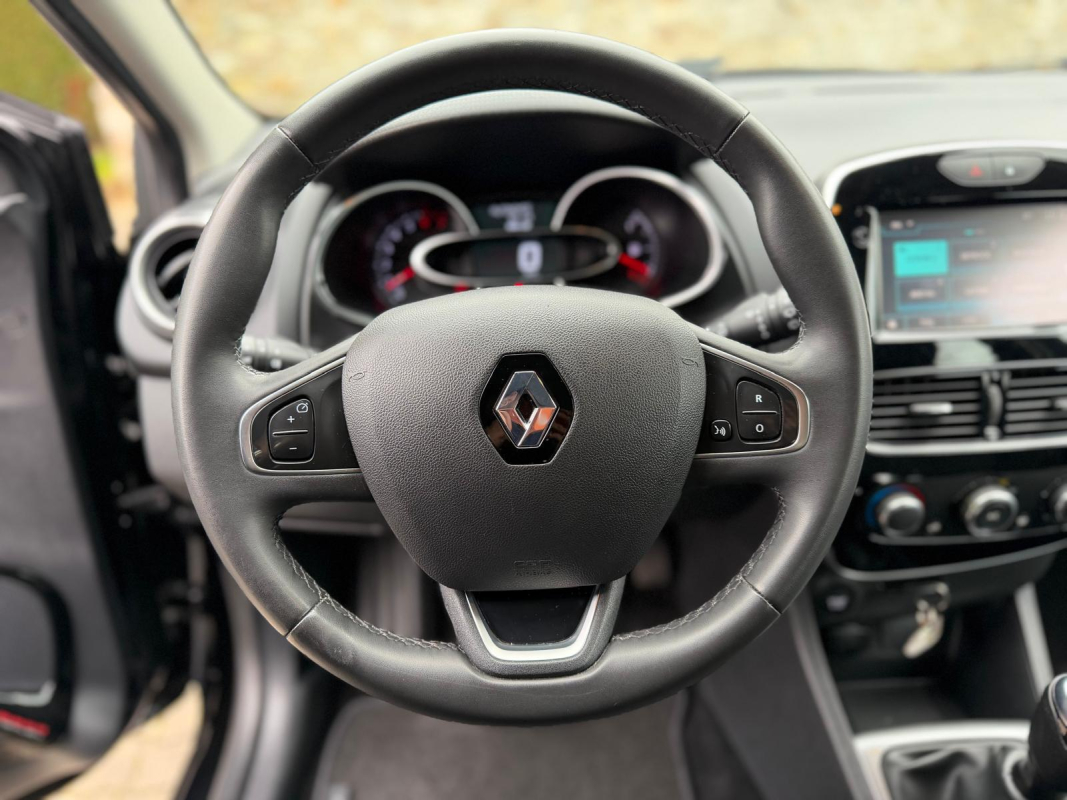 Renault Clio — 17