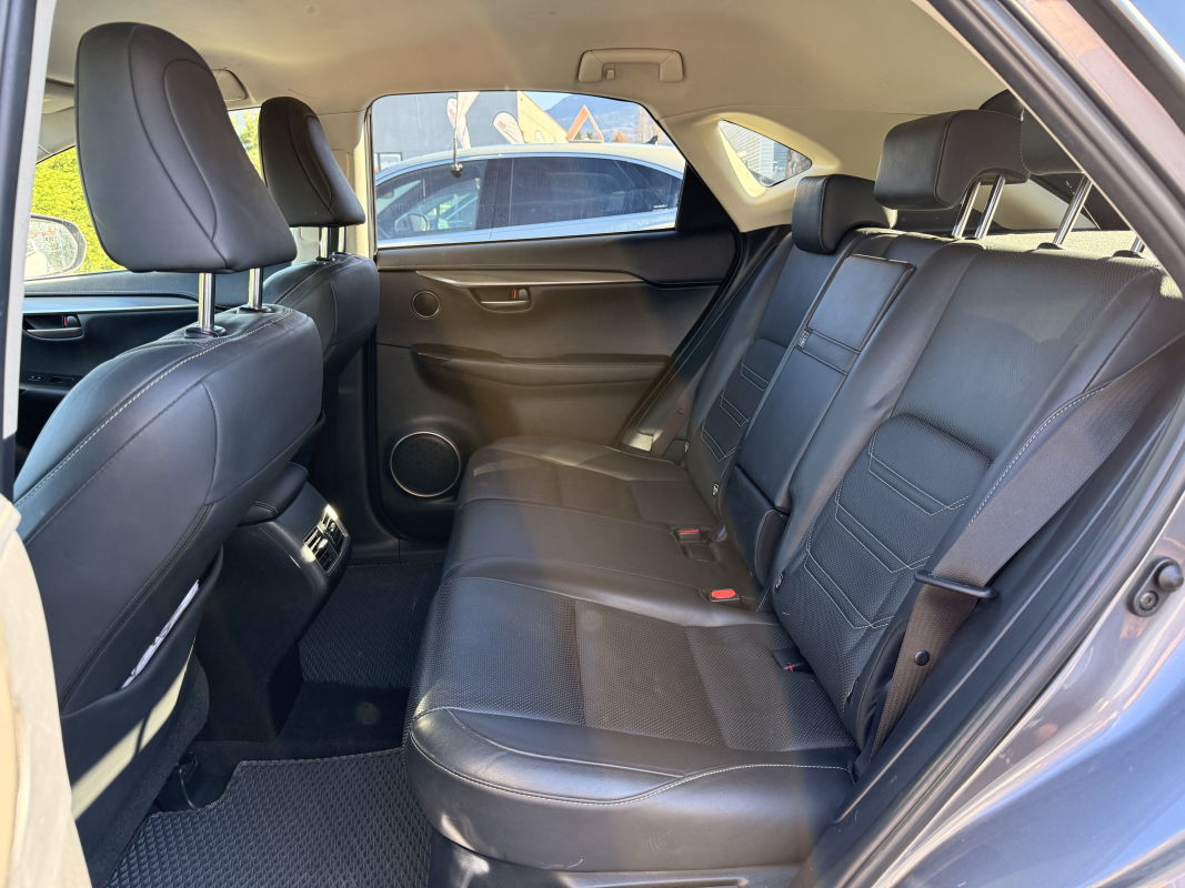 Lexus NX — 14