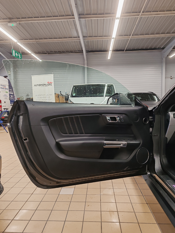 Ford Mustang — 29