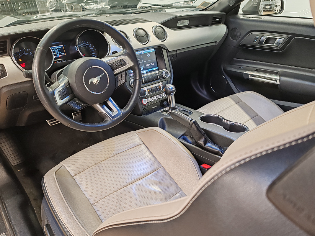 Ford Mustang — 13