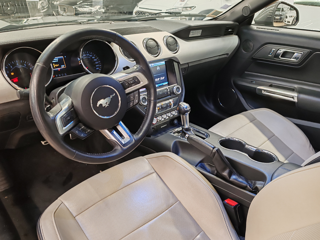 Ford Mustang — 17