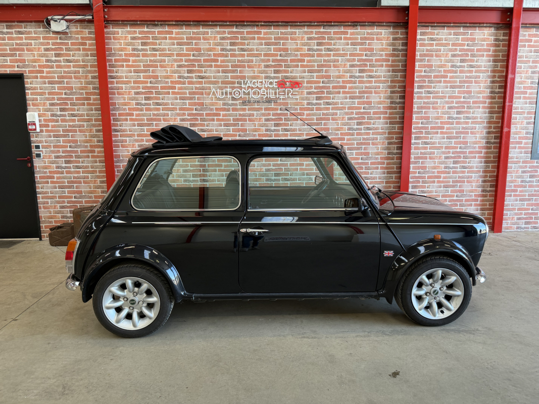 Mini Mini — 10