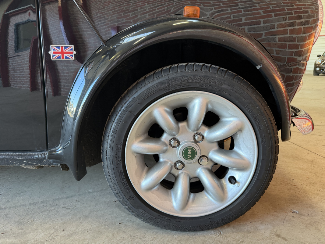 Mini Mini — 13