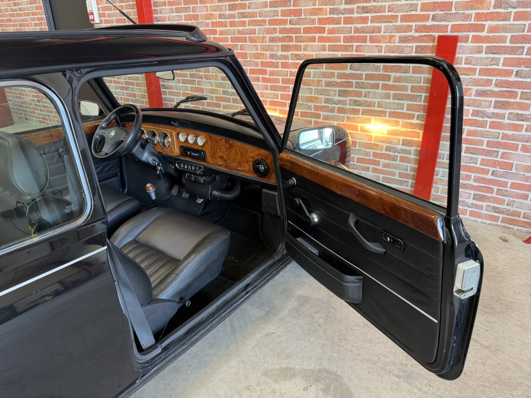 Mini Mini — 22
