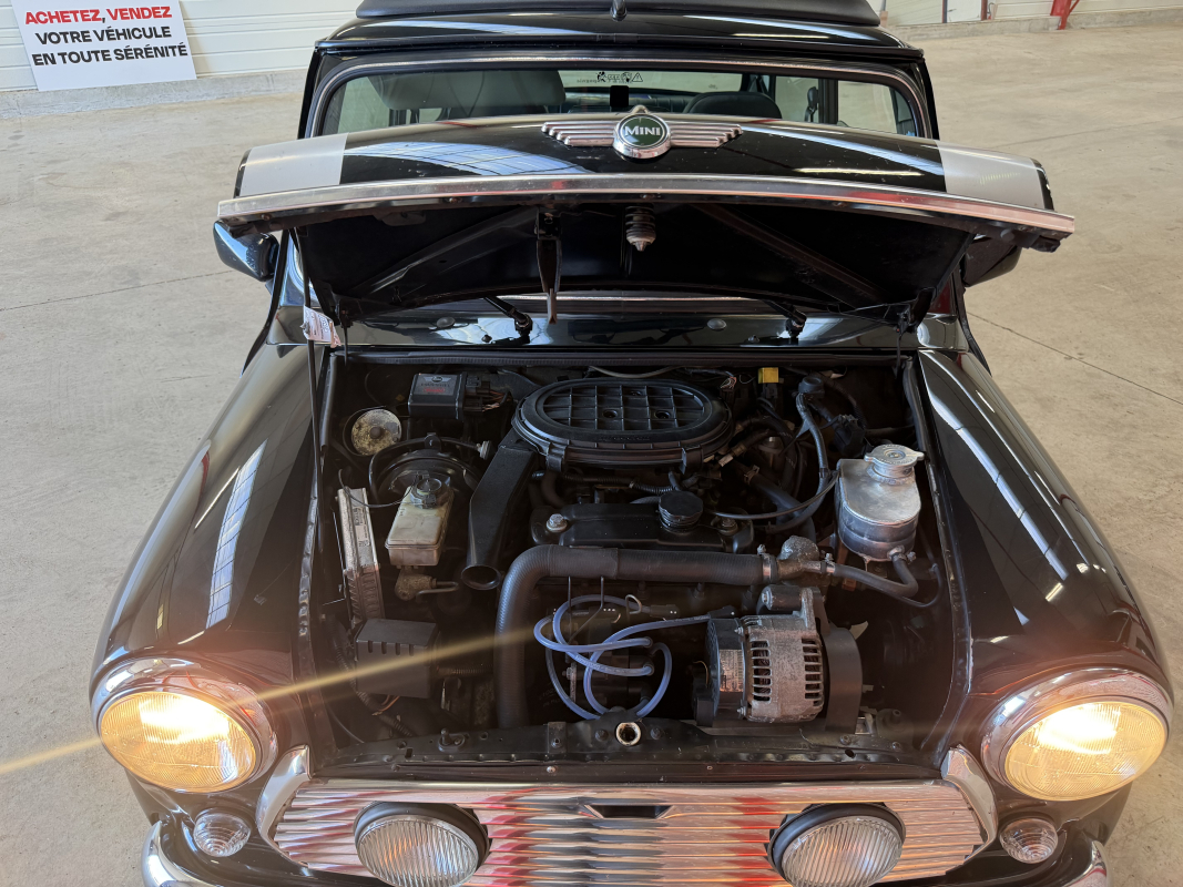 Mini Mini — 29