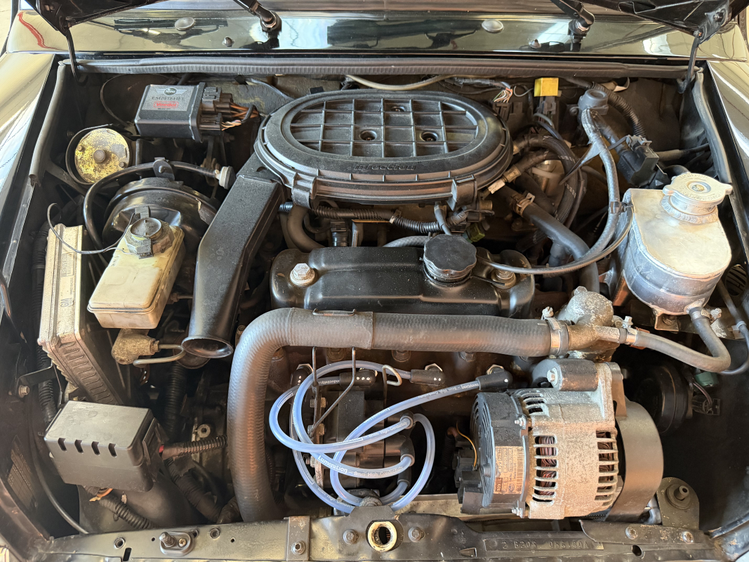 Mini Mini — 30