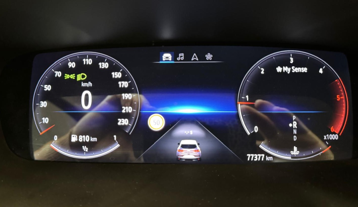 Renault Megane — 25